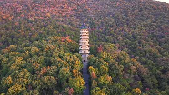 南京 灵谷塔 秋景 南京秋天 秋色 历史建筑