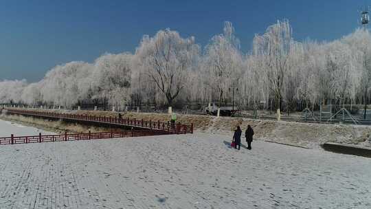 沈阳 雪景 雾凇 冬季 