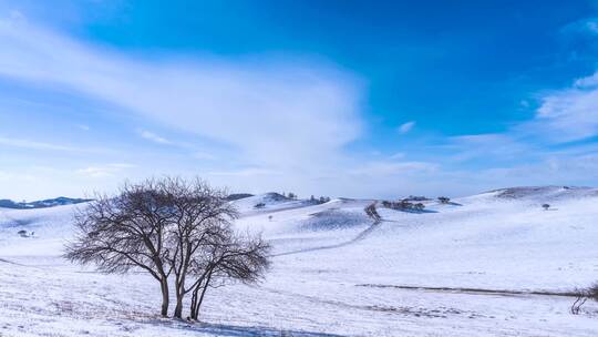 冬季内蒙古乌兰布统蓝天白云雪景