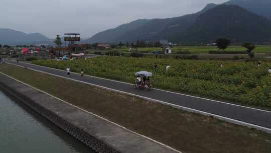 浙江瑞安曹村镇风光