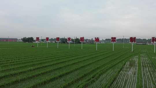 国家级水稻油菜制种基地