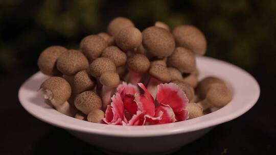 【镜头合集】海鲜菇蟹味菇蘑菇视频素材模板下载