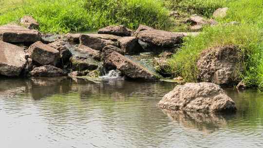 夏日户外乡村溪水河流延时