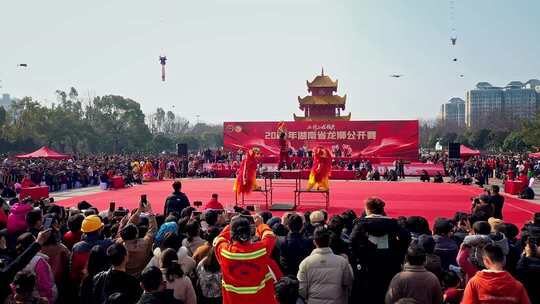 喜庆祥和的舞龙舞狮表演