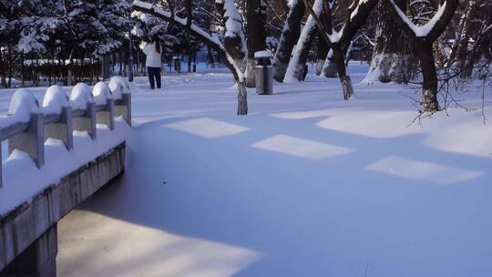 冬天公园老树小河雪景