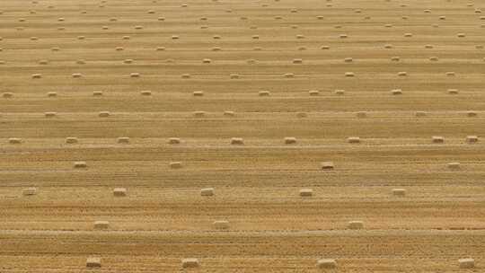 航拍新疆一起恰甫其海麦田里的麦草垛