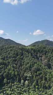 竖屏航拍山川丘陵大山山脉森林植物