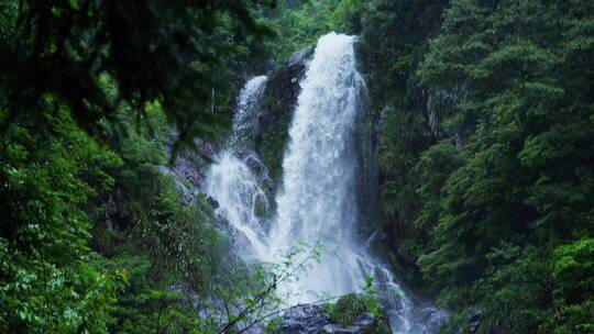 高清4K降水雨季山泉瀑布流水升格视频素材