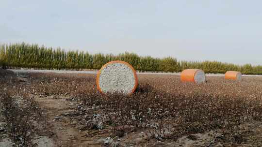 航拍新疆棉花收获季 打包采棉机“下蛋”中