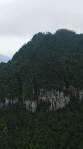 竖版航拍湖北神农架天燕景区4A景区