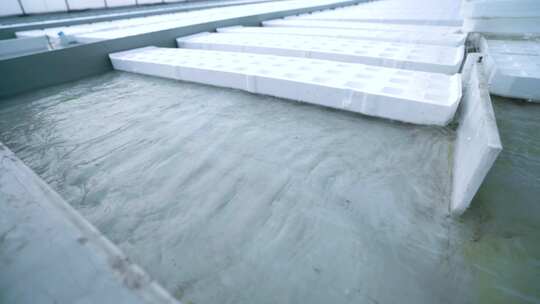 寿光大棚 蔬菜大棚 大棚建设