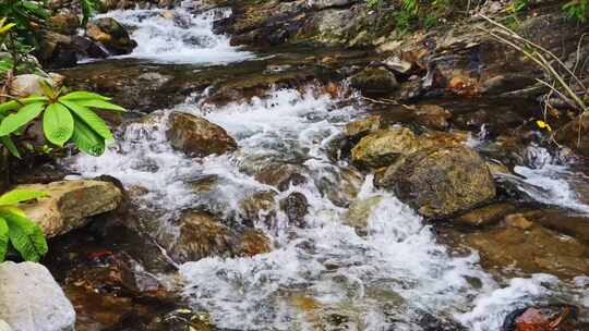 自然小溪流水山泉水花急流