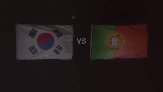 卡塔尔足球世界杯葡萄牙对阵韩国视频素材模板下载