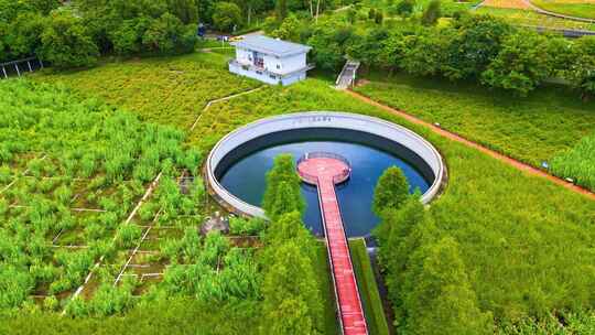 深圳观澜河湿地公园