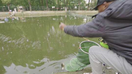 男子池塘边垂钓