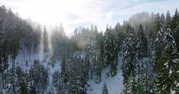 雪域高山森林景观航拍