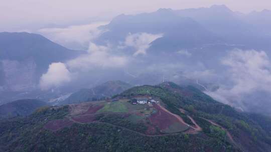 镇安海棠山视频素材模板下载