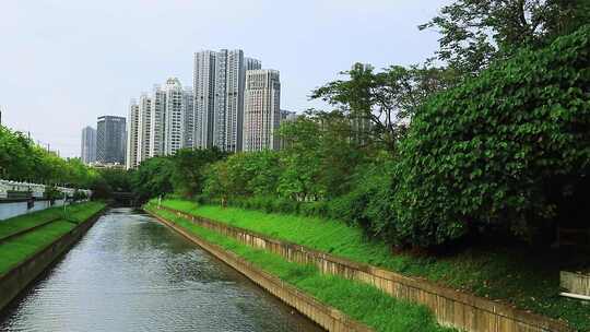 流动的水渠 一河两岸 风景 绿化 碧绿水面