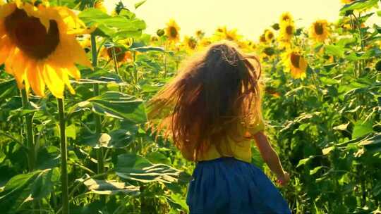 小女孩在向日葵间奔跑