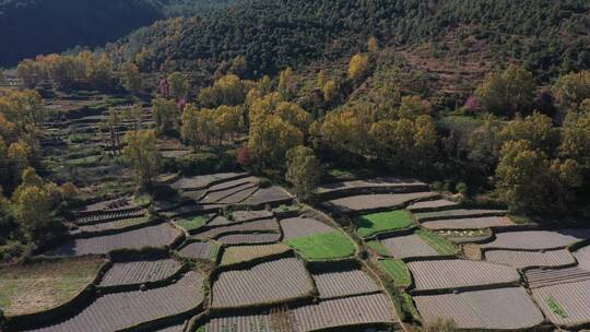 云南贵州广西梯田农田树林森林稻田田地