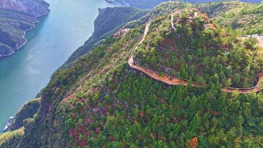 三峡红叶