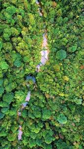 自然风景，用耳聆听、用心感悟，治愈系风景