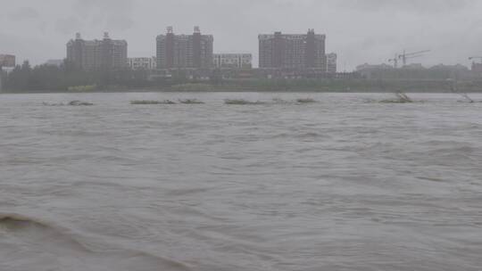 暴雨洪水LOG视频素材