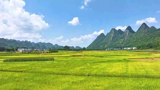 【大合集】贵州万峰林田园秋收峰林乡村旅游