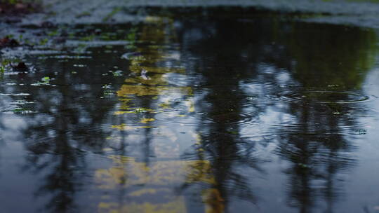 下雨街道视频素材模板下载