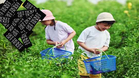 动感活泼促销活动快闪文字快闪模板