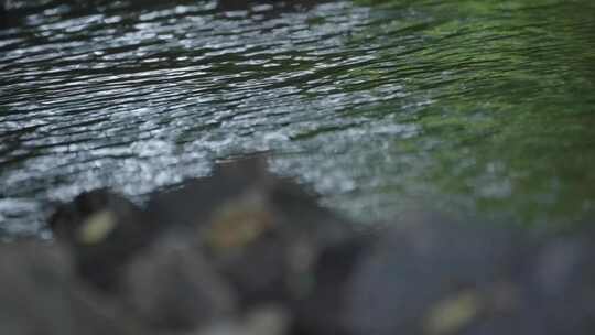 溪水河流乘凉 唯美意境 治愈夏天疗愈白噪音