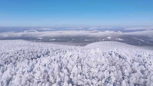 航拍大兴安岭山顶雾凇250102-147