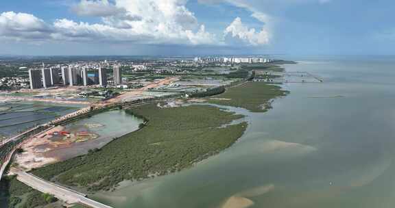 北海红树林区域