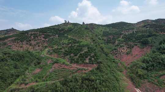 山川丘陵水果种植水果基地航拍