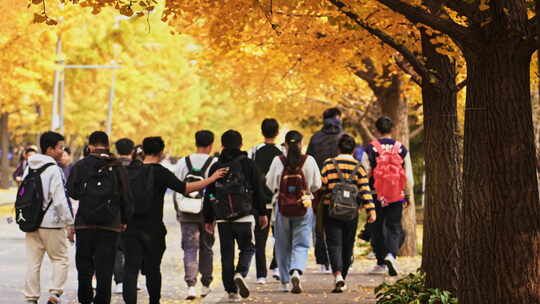 一群大学生在校园行走上课下课