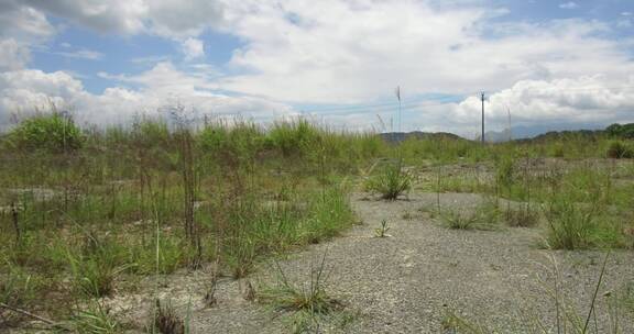 郊外旷野