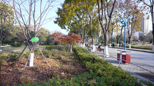 武汉洪山区关山荷兰风情园风景