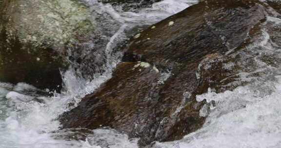 河水慢动作 河流慢速 溪流 溪水 泉水 升格