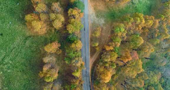 穿过山林的道路航拍