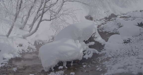 被雪覆盖的长白山北坡景区风光