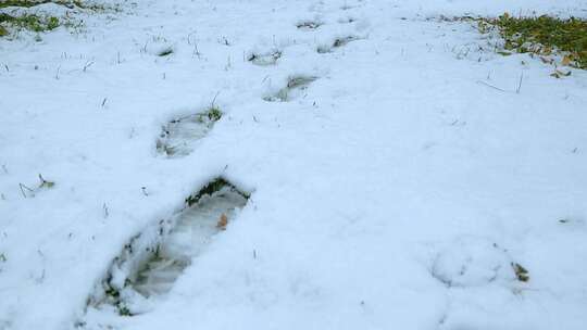 雪地上行走的人的脚印