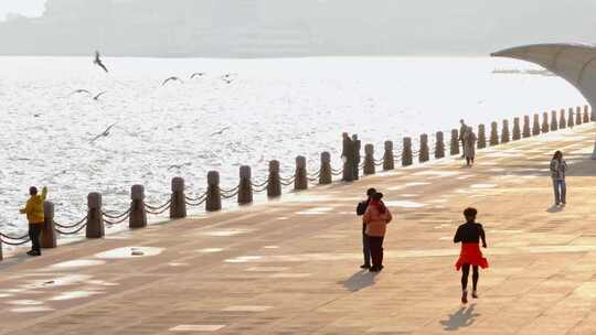 烟台滨海广场 海鸥