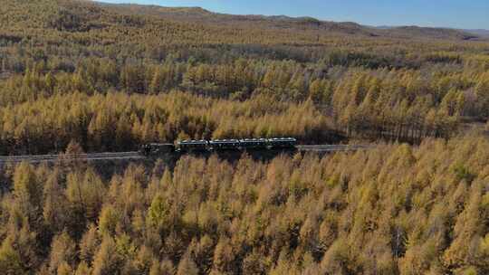 航拍小火车行驶在大兴安岭的秋天4K