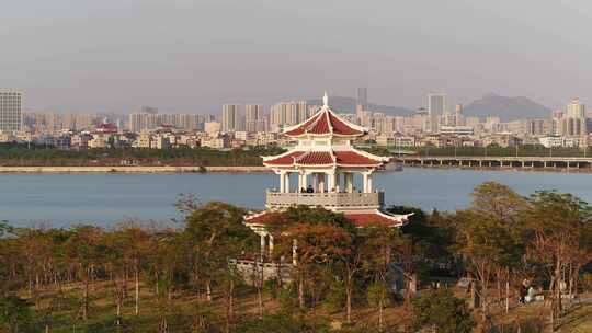 厦门 海沧 马銮湾 湿地公园 落羽杉