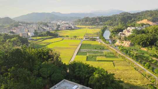 乡村航拍田野水库河流