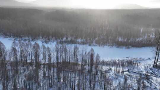 航拍冷空气笼罩的雪原树林