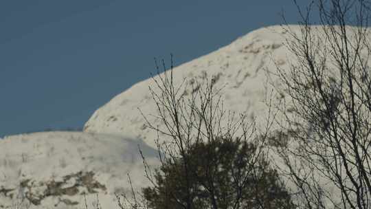 山，树，雪，改变焦点