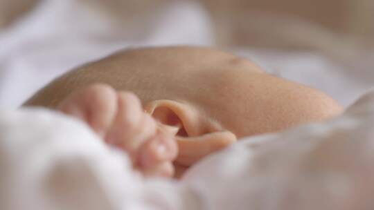 新生儿，婴儿，手，耳朵
