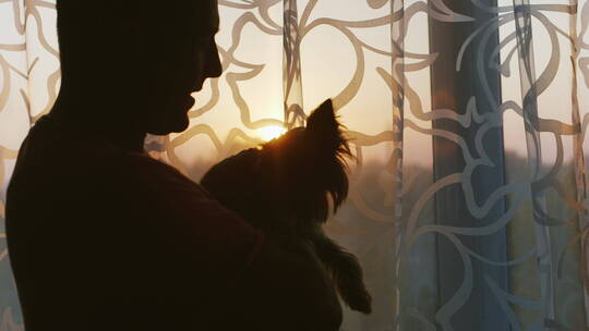 夕阳下男人站在窗前抚摸心爱的狗狗的剪影