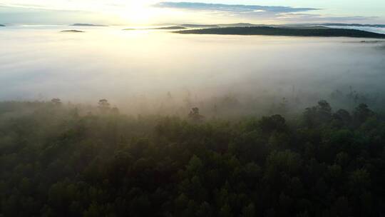 航拍漠河晨雾迷漫的原始森林视频素材模板下载